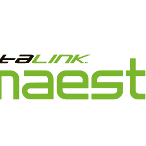 iDatalink Maestro integration boxes